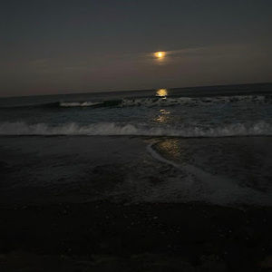 Meet your Posher, Joyce